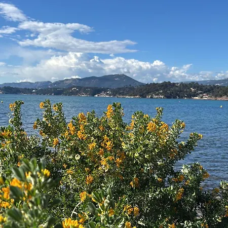 Maison Au Pradet Proche Centre Et Plages * Le Pradet