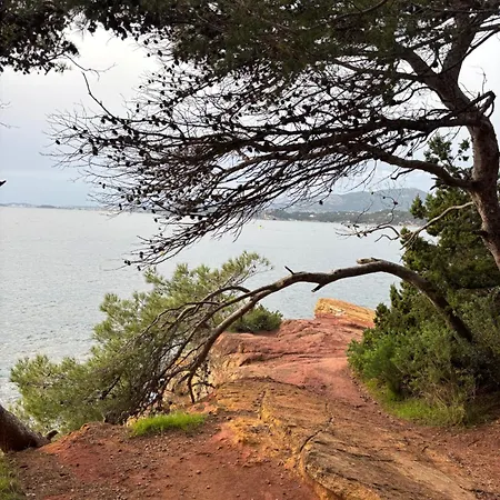 Σπίτι διακοπών Maison Au Pradet Proche Centre Et Plages Le Pradet